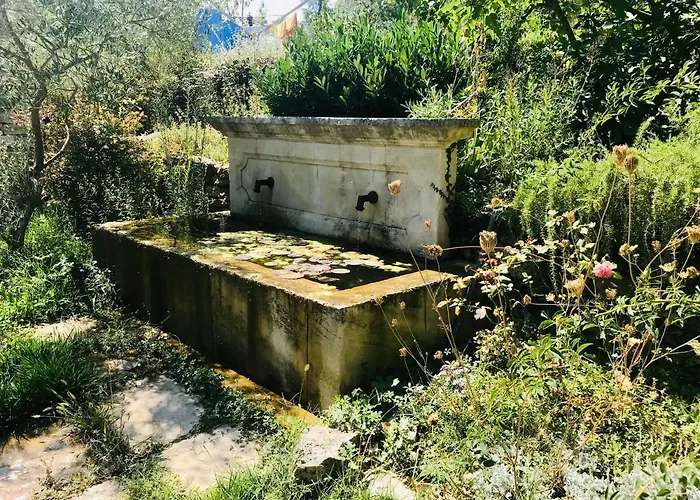 Petit Coin De Paradis Avec Jardin Prive Et Piscine